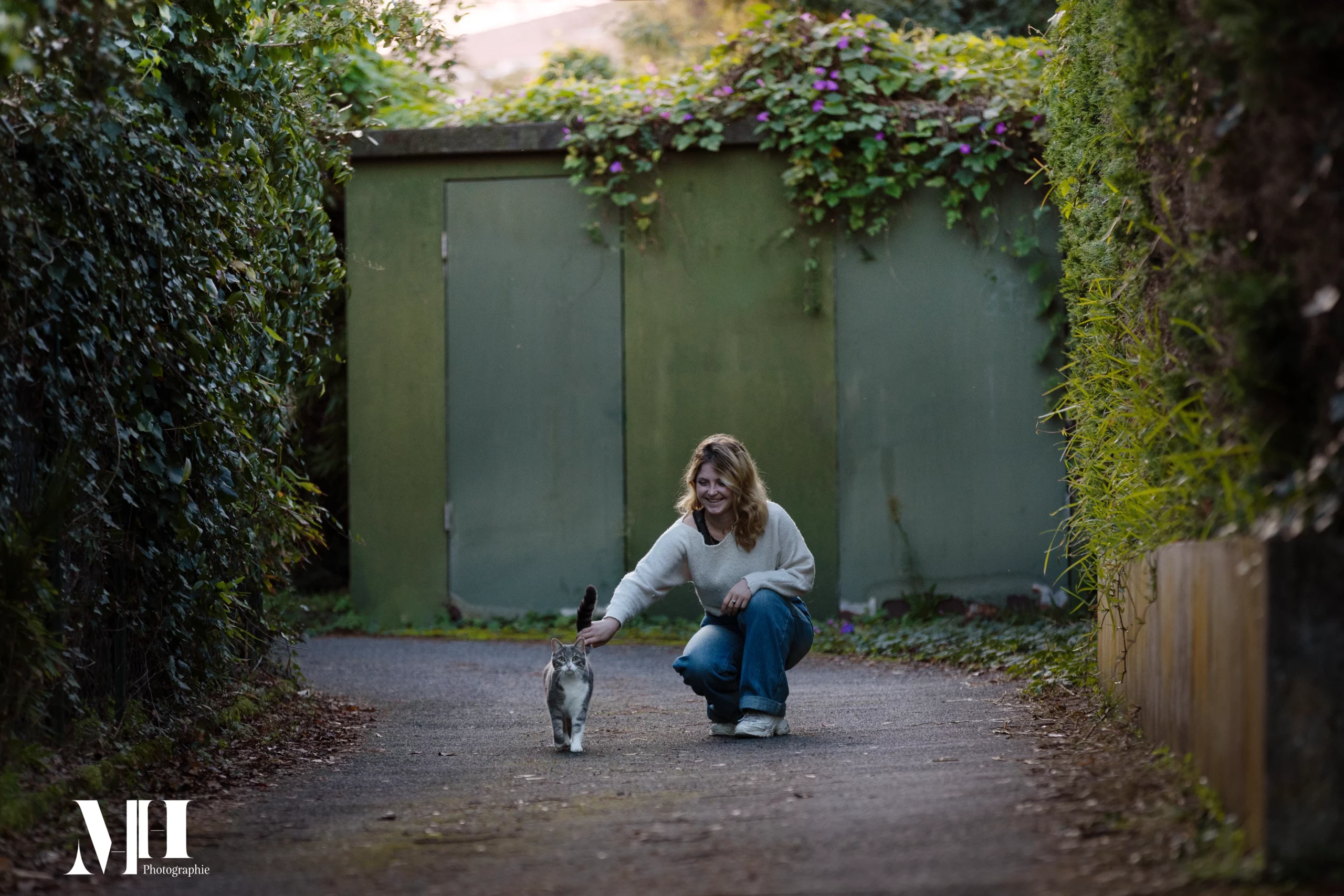 photographe équine et canine, chat