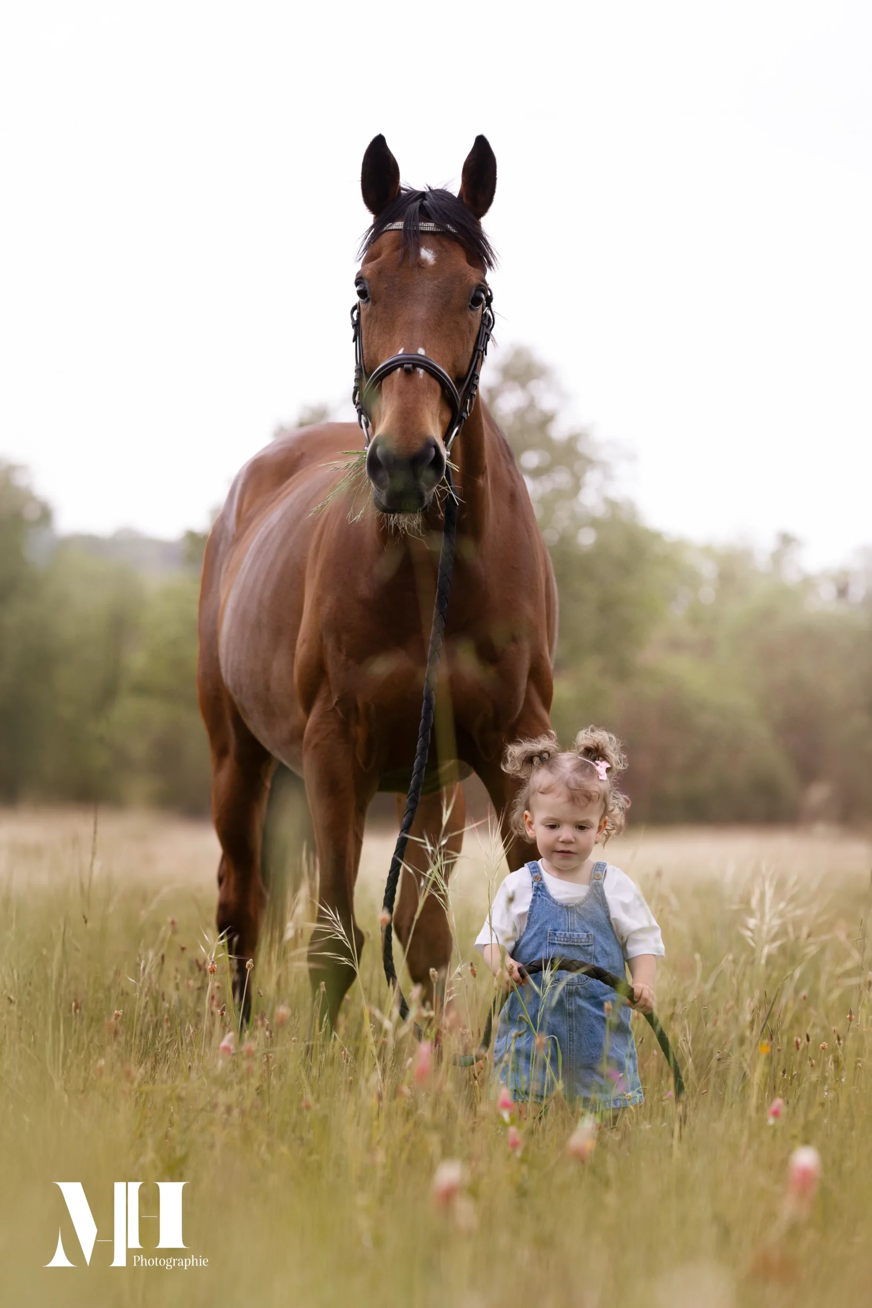 photographe équine et canine, cheval, enfant