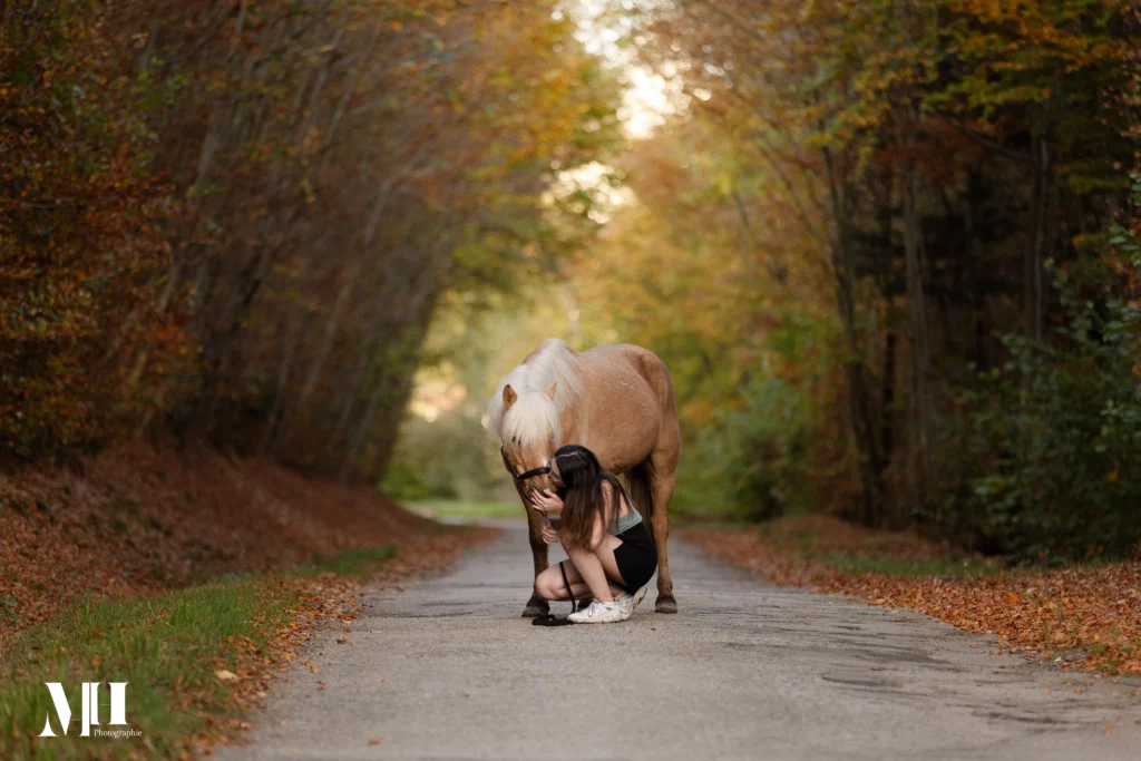 photographe équine et canine, cheval