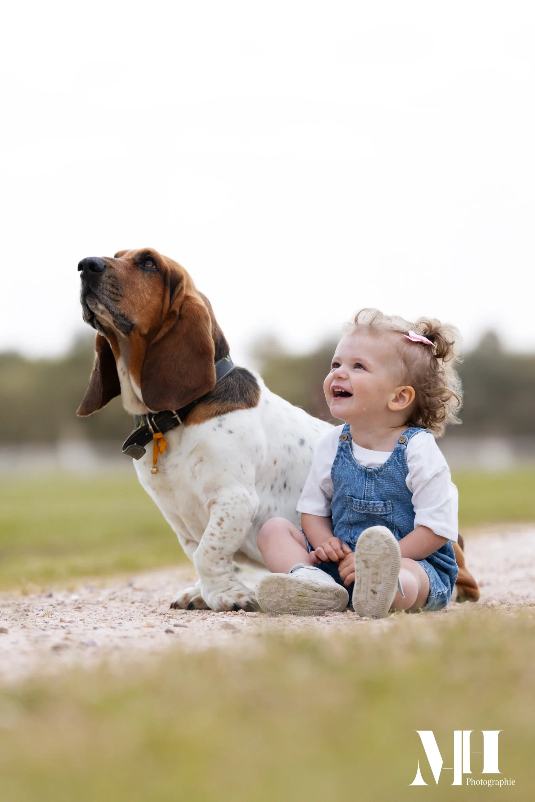 photographe équine et canine, chien, enfant