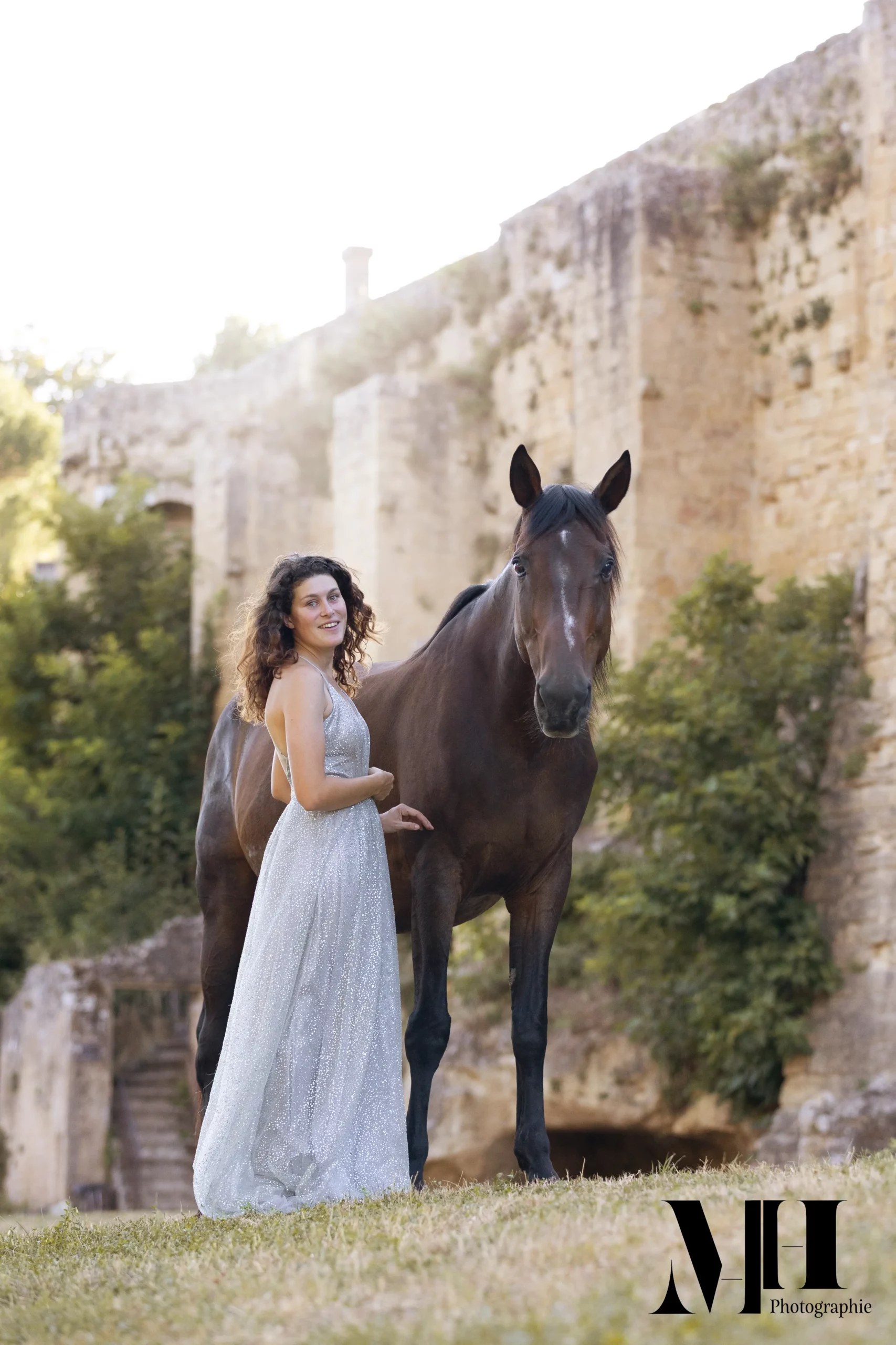 photographe équine et canine, cheval