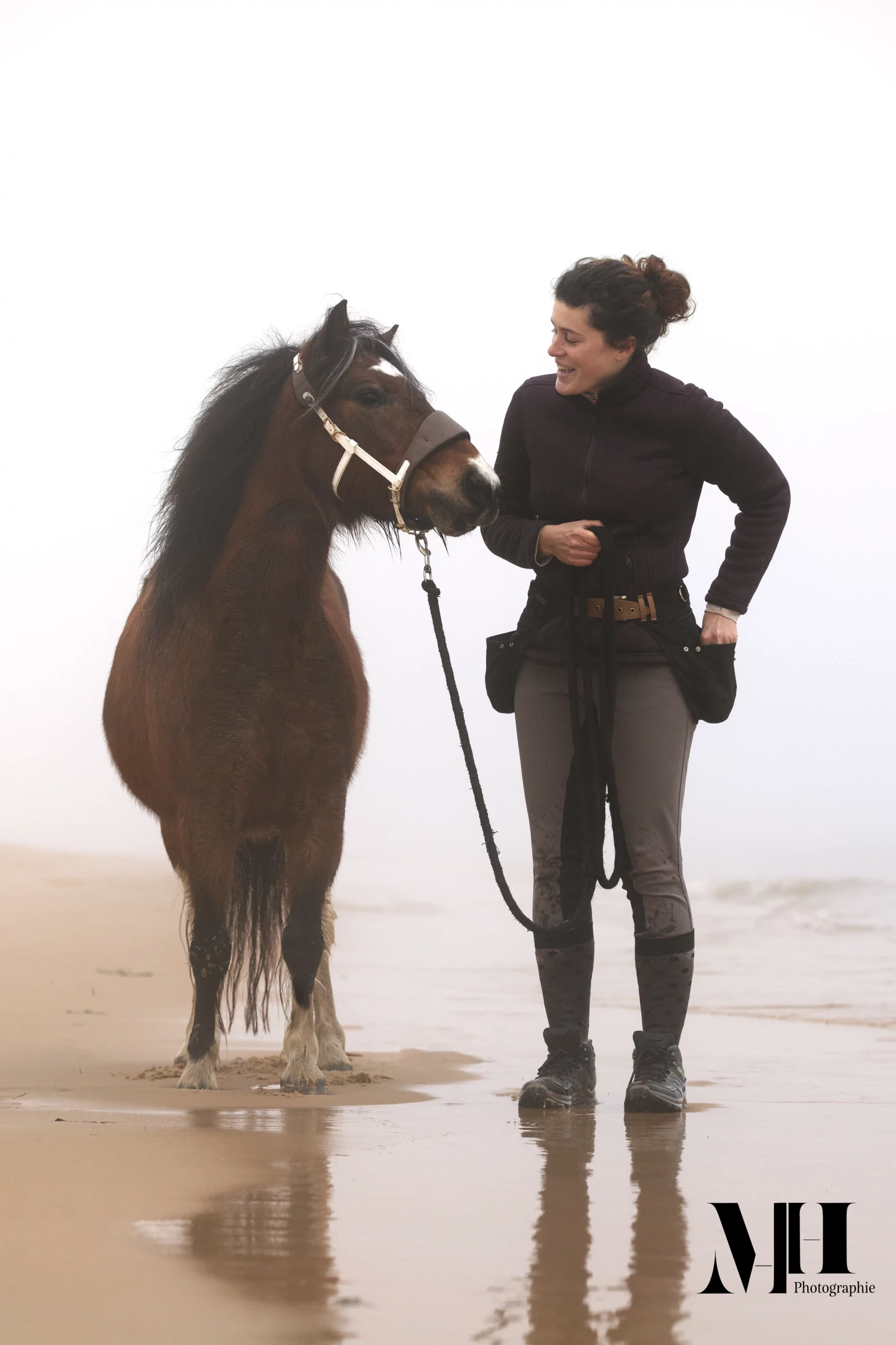 photographe équine, photographe canine, photographe équestre, cheval, plage
