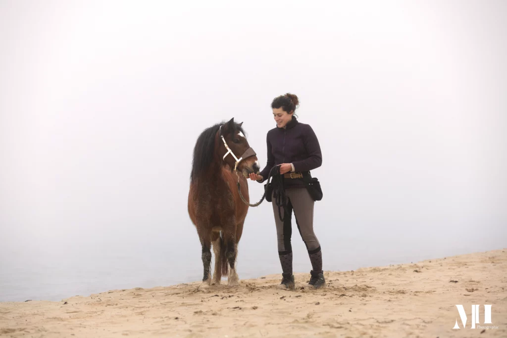 photographe équine, photographe canine, photographe équestre, cheval, plage