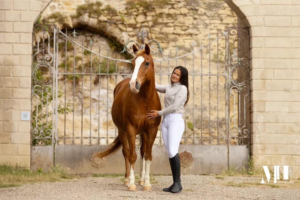 photographe équine, photographe canine, photographe équestre, cheval